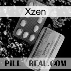 Xzen 36